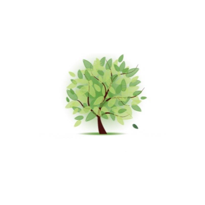 Centre for Islamic Development