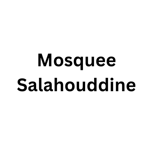 Salahouddine Mosque Logo